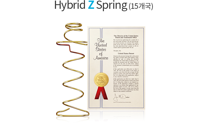 Hybrid Z Spring (15개국)